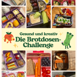 So geht „gesund und lecker“ – die Brotdosenchallenge am GM