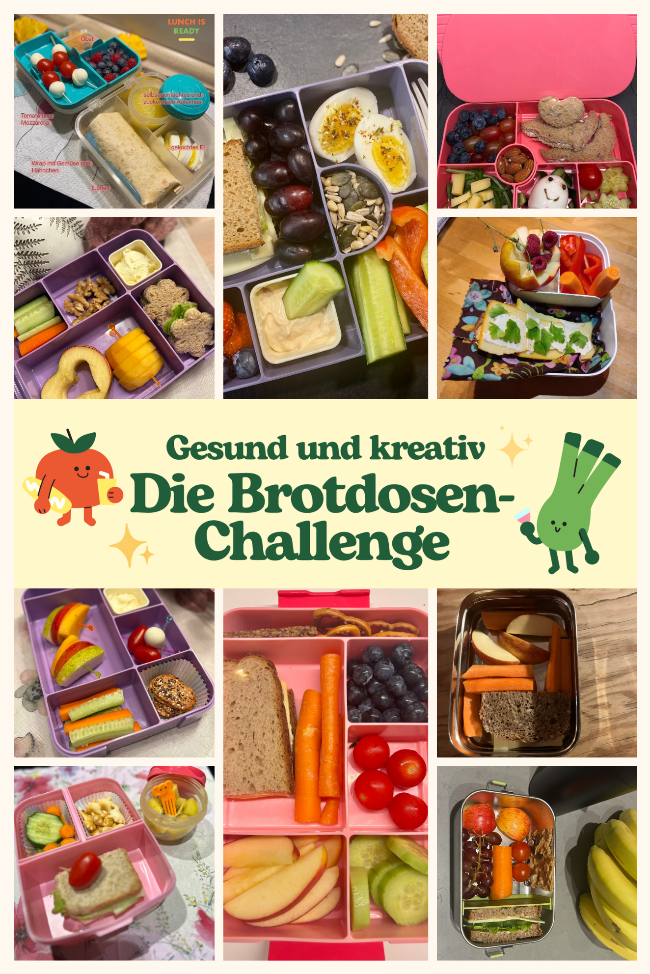 So geht „gesund und lecker“ – die Brotdosenchallenge am GM