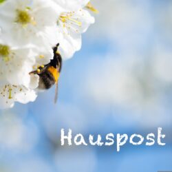 Hauspost vom 23. April 2026