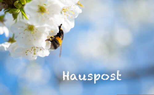 Hauspost vom 23. April 2026
