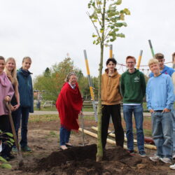 Challenge accepted! Gymnasium Mellendorf pflanzt seine Linde