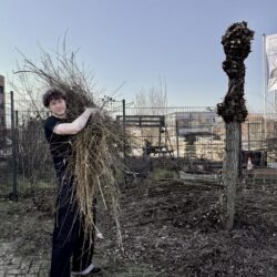 Handwerk trifft Naturschutz: Der Weidenflecht-Workshop am GM
