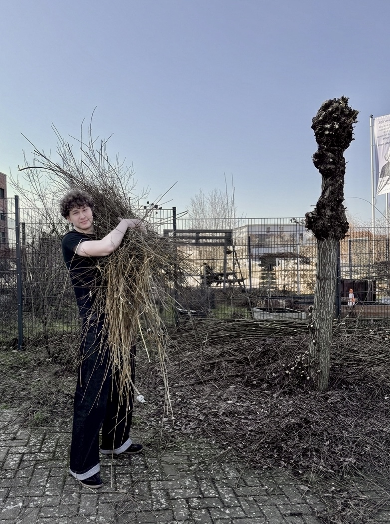 Handwerk trifft Naturschutz: Der Weidenflecht-Workshop am GM