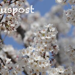 Hauspost vom 07. Mai 2026