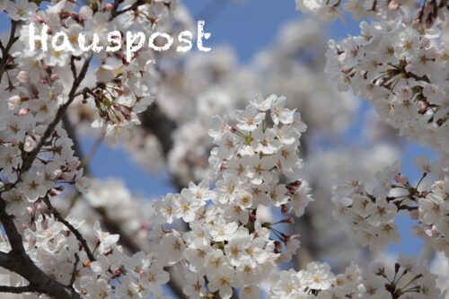 Hauspost vom 07. Mai 2026