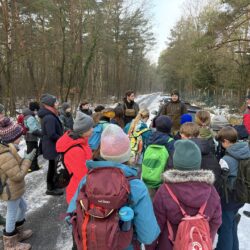 Schulklassen engagieren sich im Moor für Klima- und Naturschutz