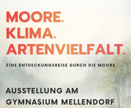 Moore als Superhelden
