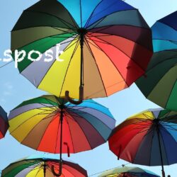 Hauspost vom 08. Januar 2026