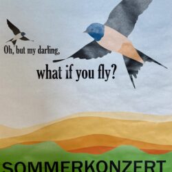 Sommerkonzert 2025