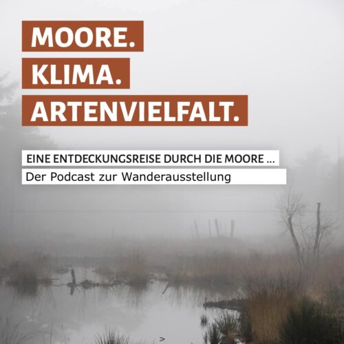 Moore. Klima. Artenvielfalt - der Podcast zur Ausstellung