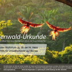 09 WuN-Kurs spendet 50€