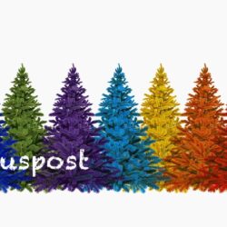 Hauspost vom 20. November 2025