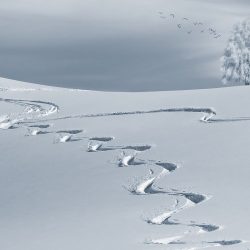 AKTUALISIERUNG Kein Präsenzunterricht für den 13. Jahrgang am Dienstag, den 09.02.2021